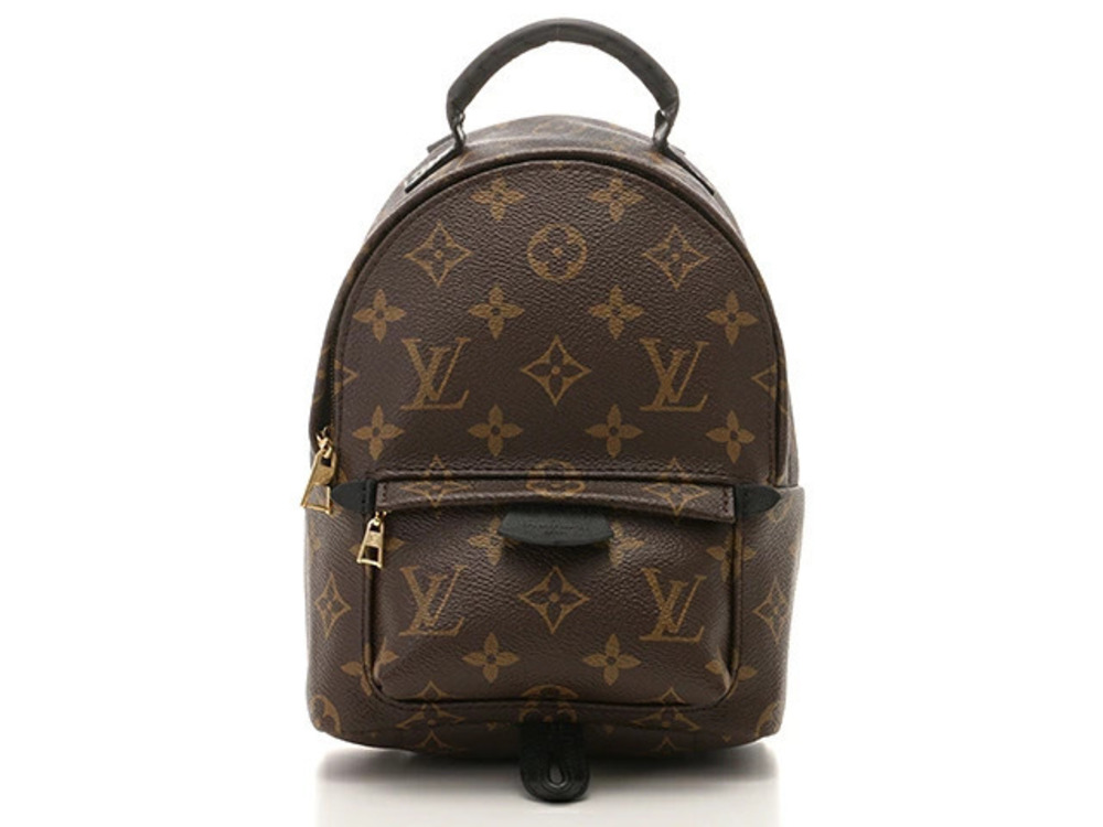 LOUIS VUITTON Palm Springs Backpack Monogram